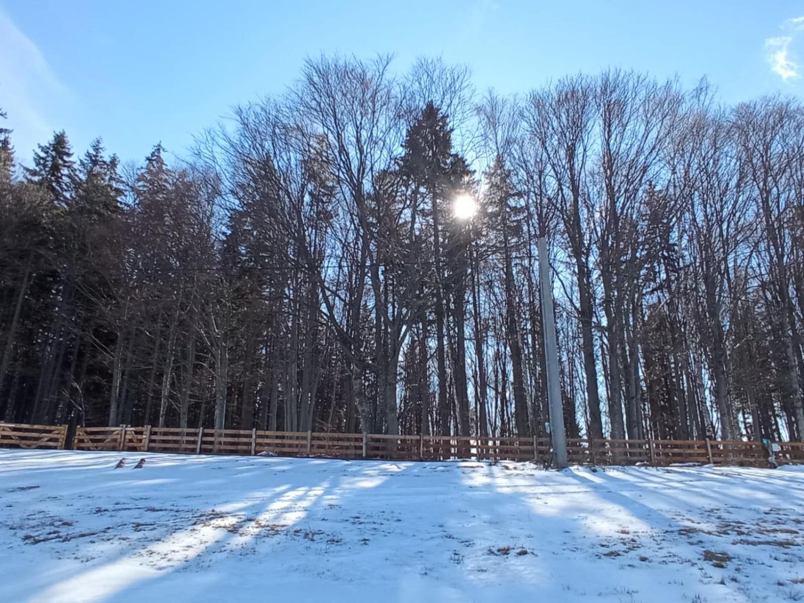 My Little Village Пояна-Марулуй Екстер'єр фото