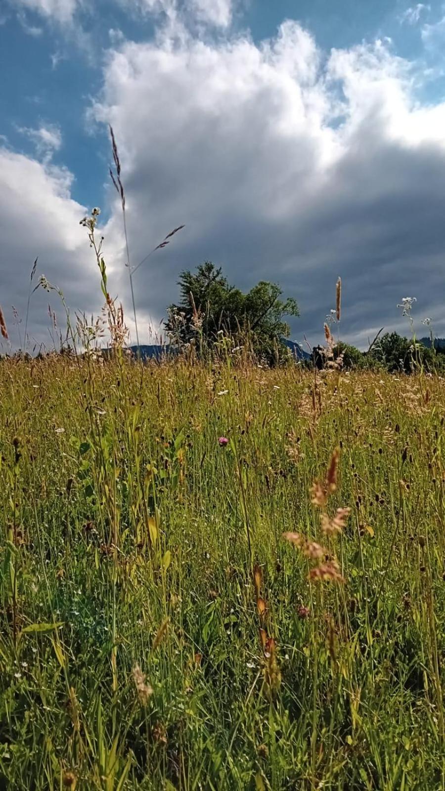 My Little Village Пояна-Марулуй Екстер'єр фото