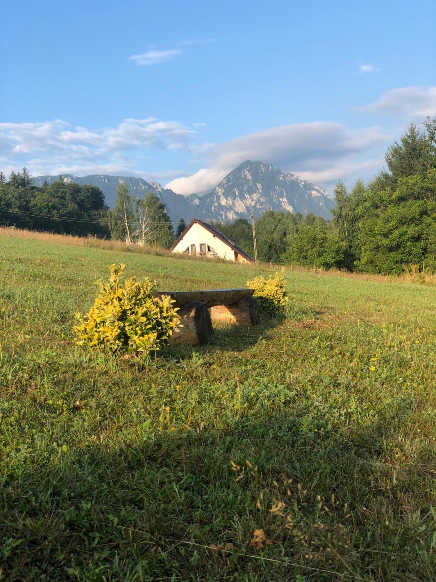 My Little Village Пояна-Марулуй Екстер'єр фото